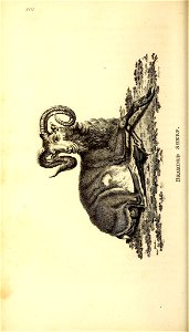 n569_w1150