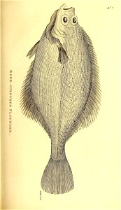 n422_w1150