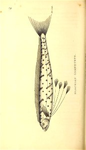 n287_w1150