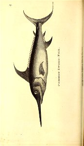 n141_w1150