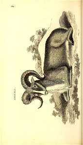 n563_w1150