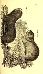 n162_w1150