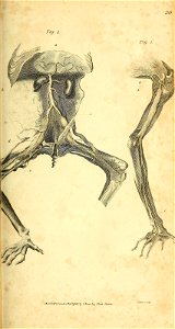 n176_w1150