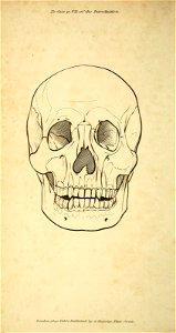 n15_w1150