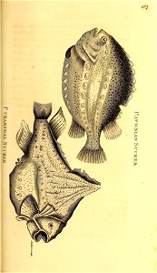 n572_w1150