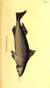 n492_w1150