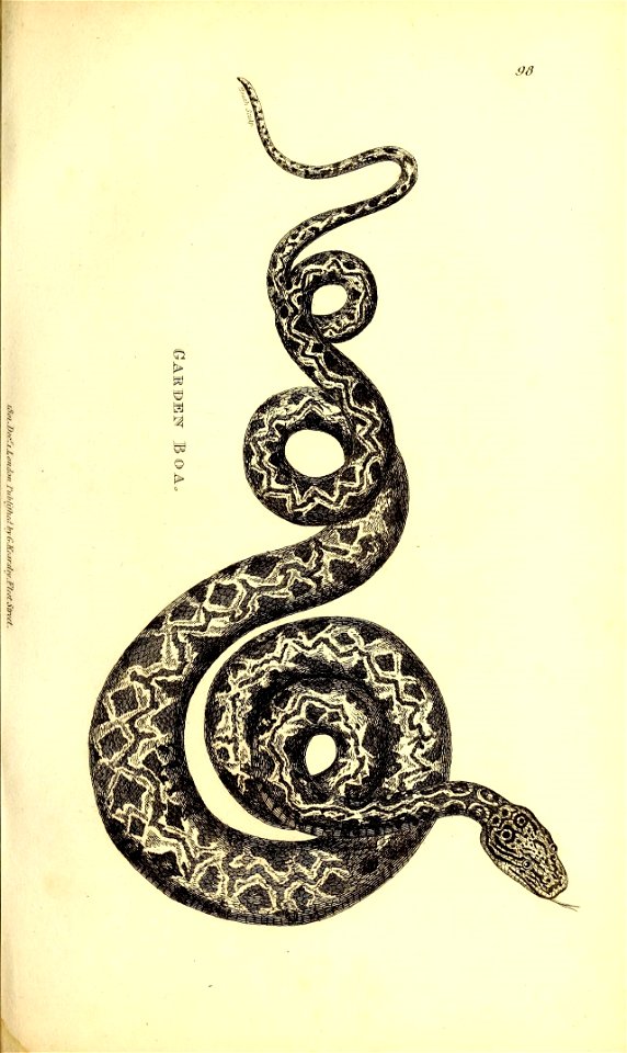 n568_w1150