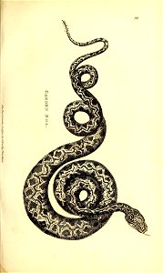 n568_w1150