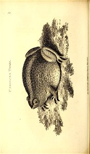 n291_w1150