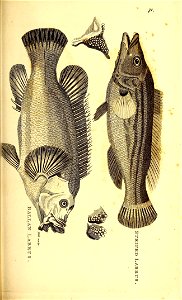 n678_w1150