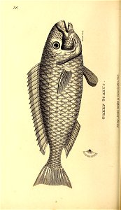 n541_w1150