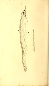 n279_w1150