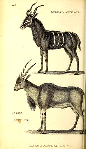 n469_w1150