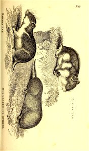 n154_w1150
