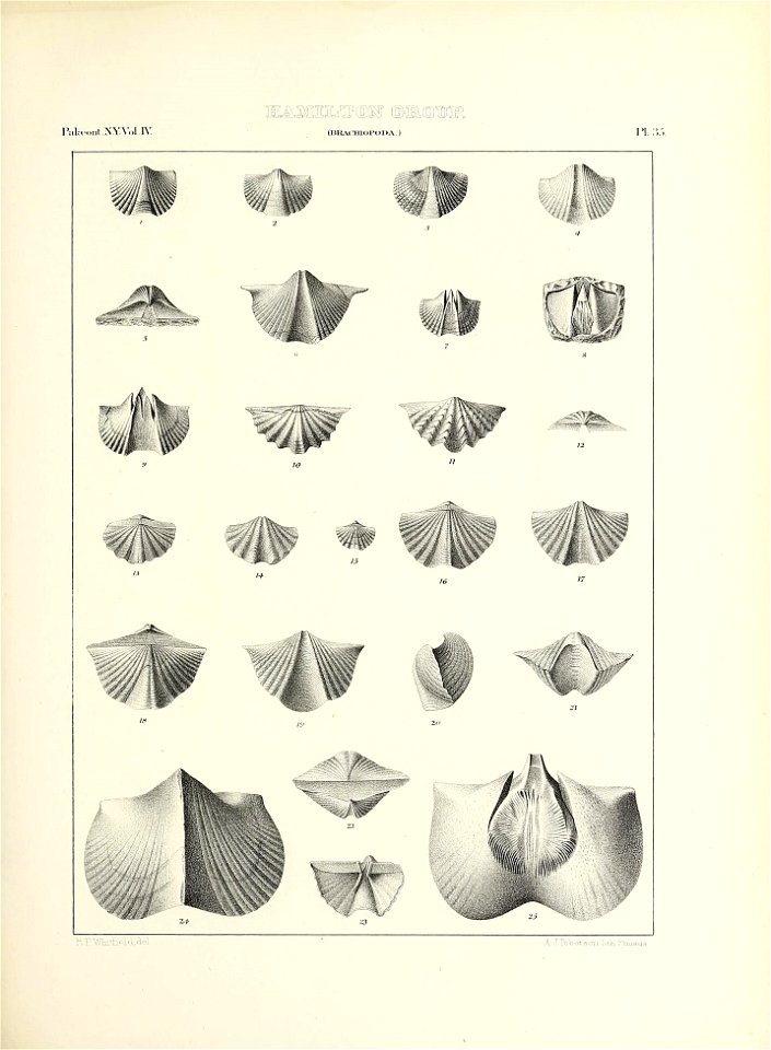 n588_w1150
