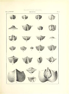 n588_w1150