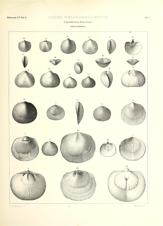 n468_w1150