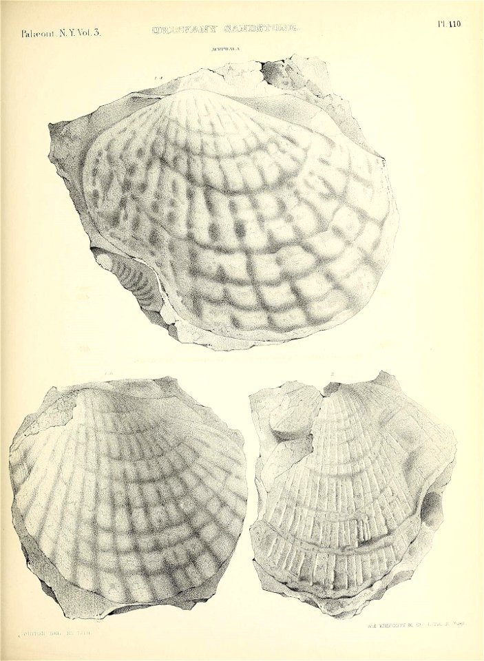 n534_w1150