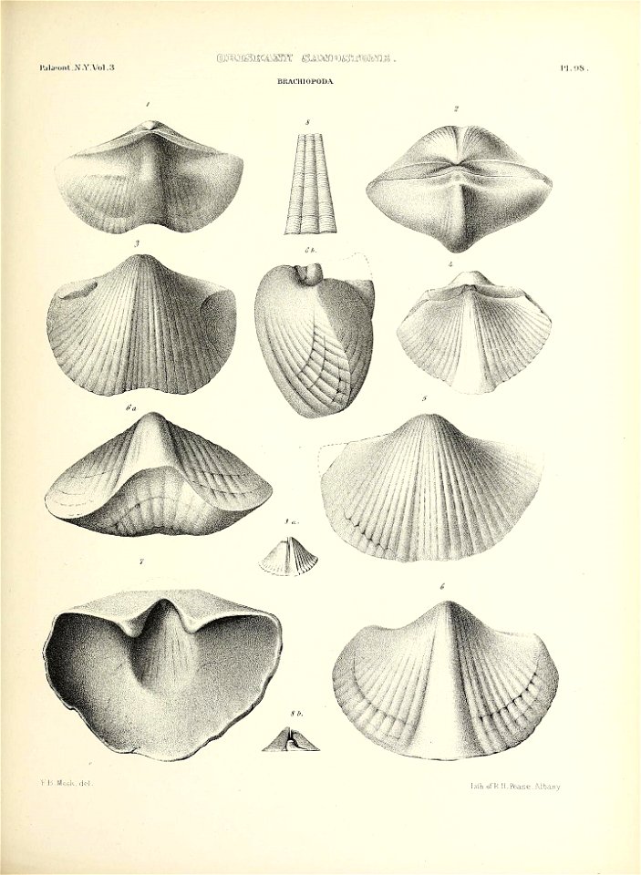 n474_w1150