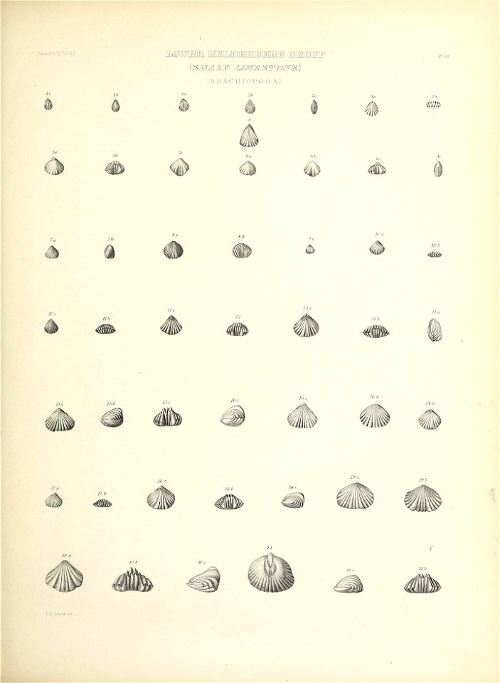 n174_w1150