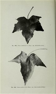 n395_w1150