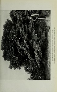 n372_w1150