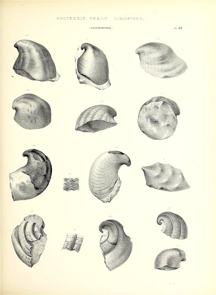 n282_w1150