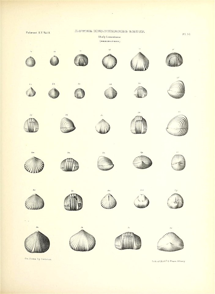 n162_w1150
