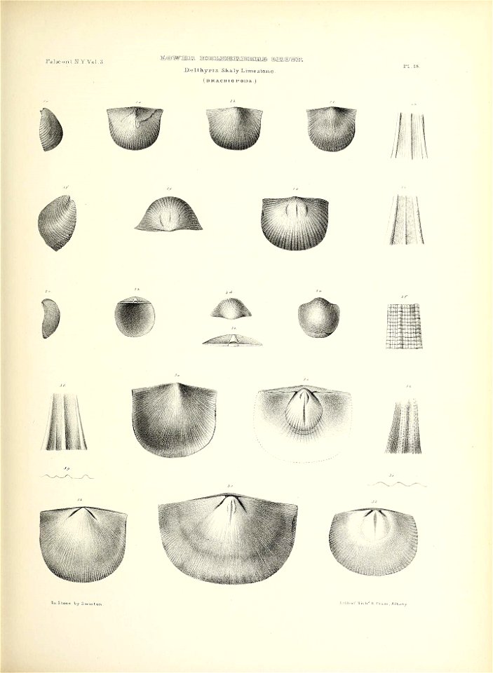 n102_w1150