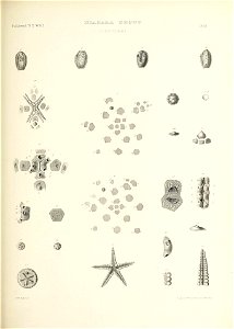 n656_w1150