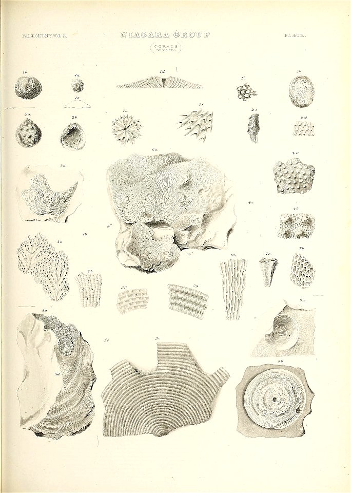 n596_w1150