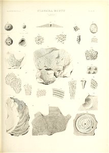 n596_w1150