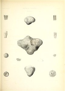 n536_w1150