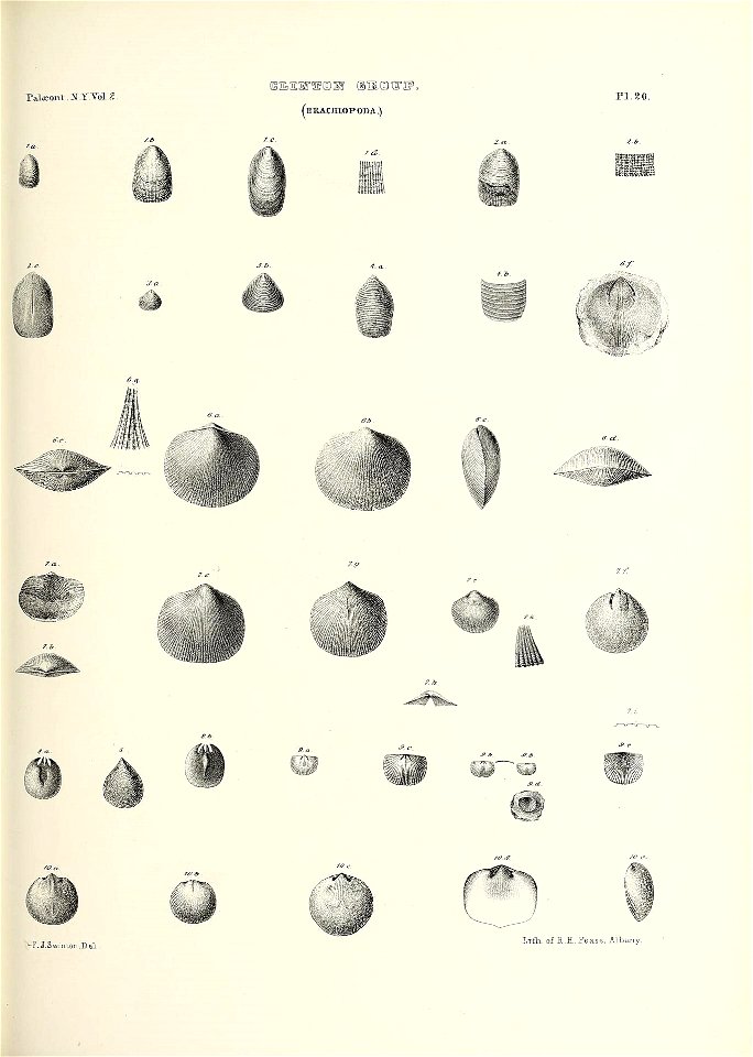 n476_w1150