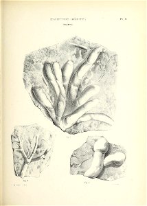 n416_w1150