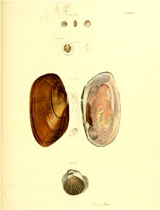 n414_w1150