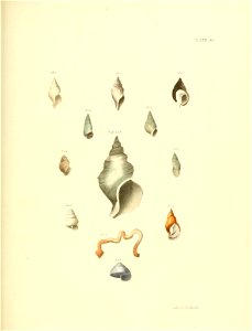 n442_w1150