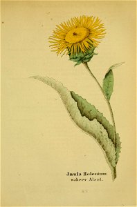 n574_w1150