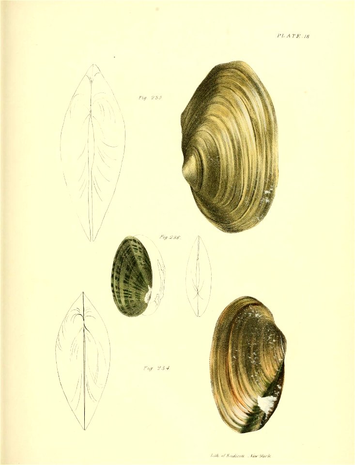 n406_w1150