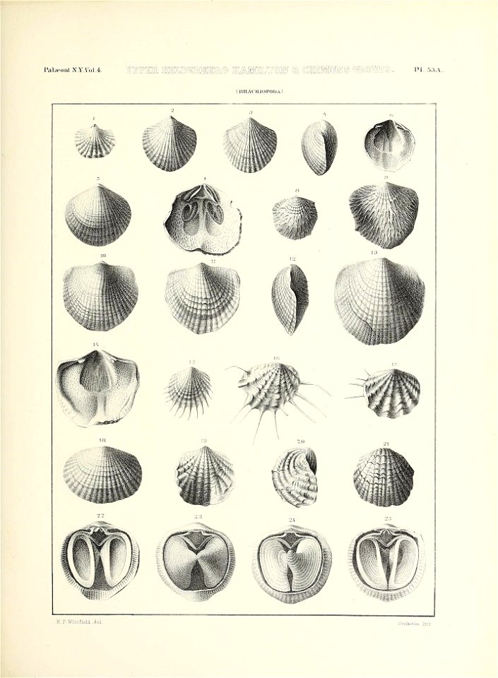 n672_w1150