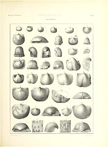 n552_w1150