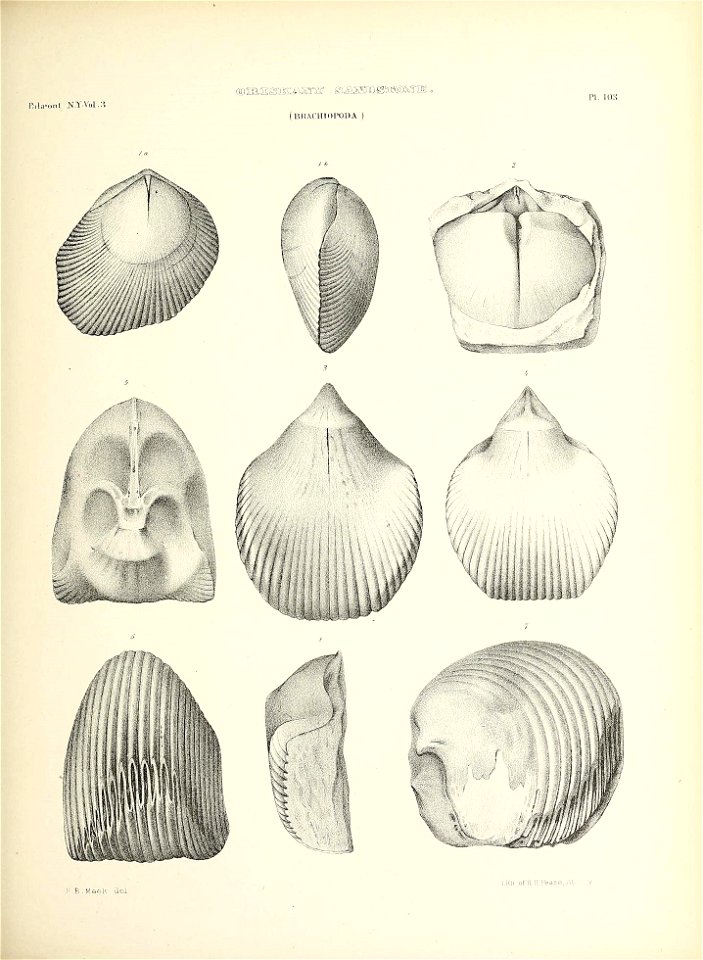 n498_w1150