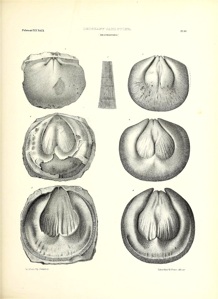 n438_w1150