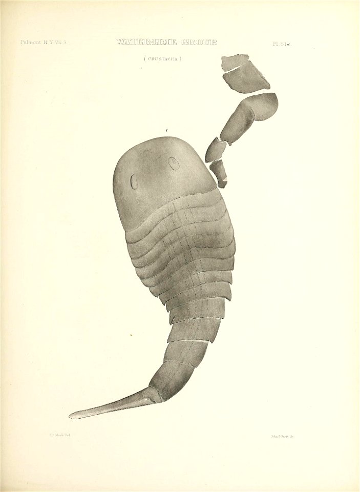 n378_w1150