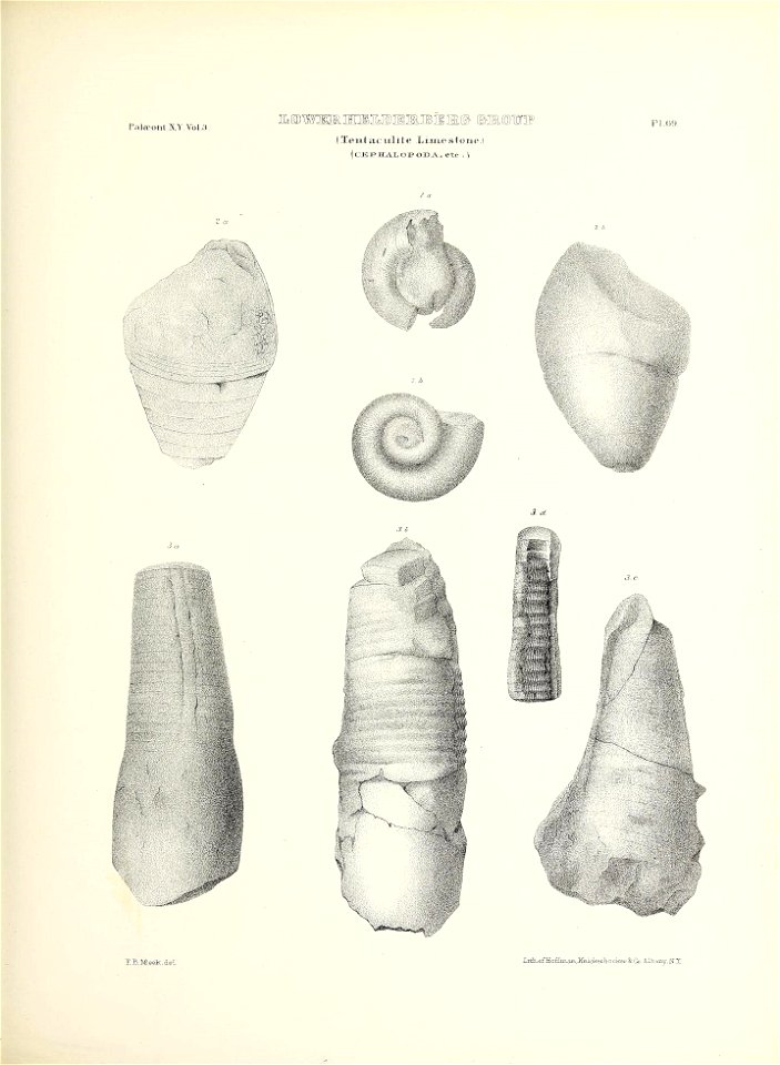 n318_w1150
