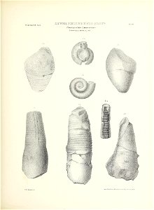 n318_w1150
