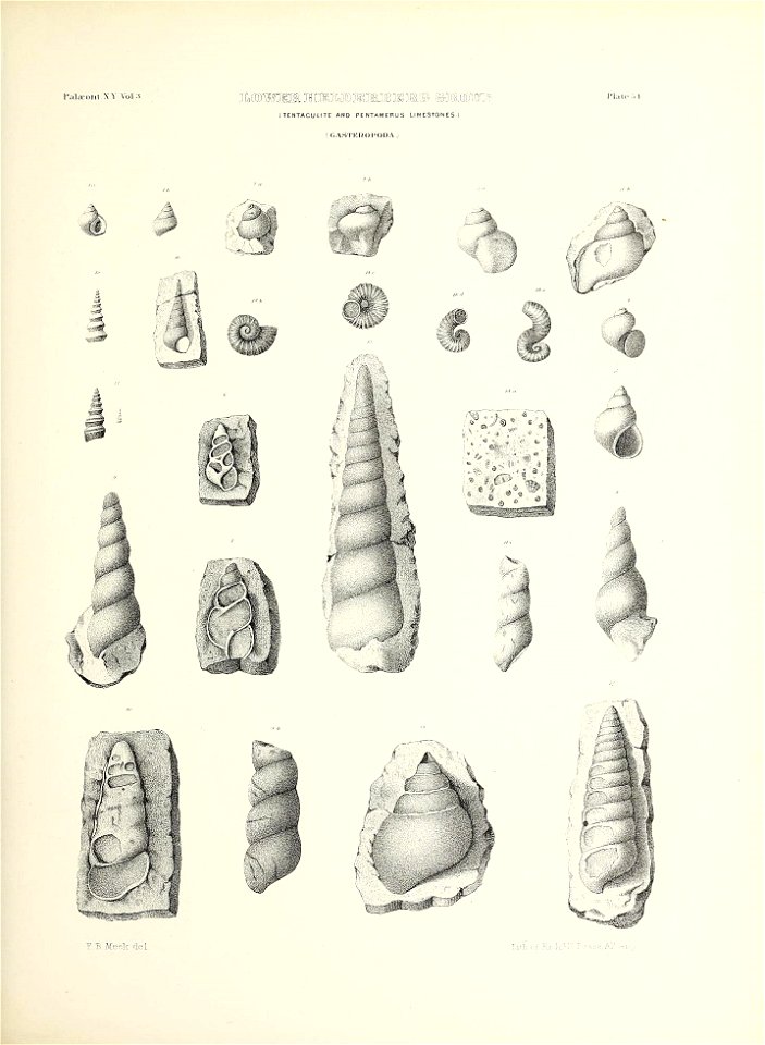 n258_w1150