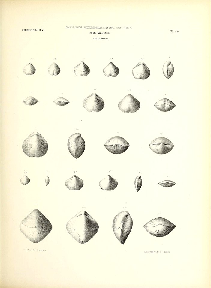 n198_w1150