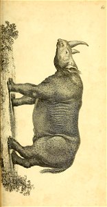 n348_w1150