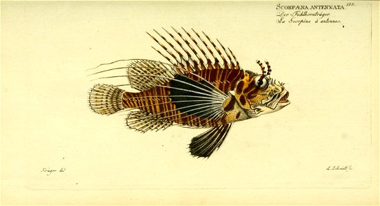n158_w1150